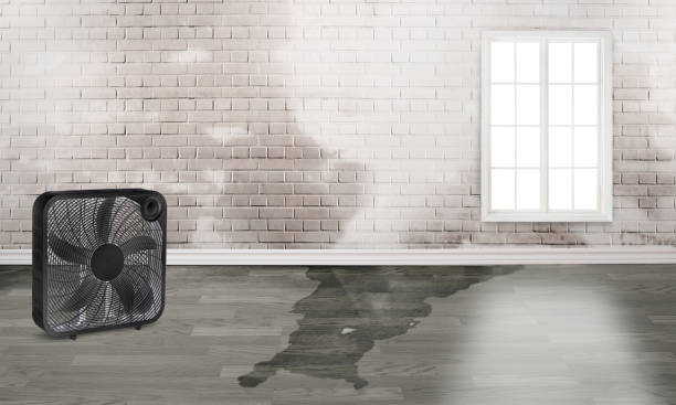 Best 24-hour water damage restoration  in Clarkston Heights Vineland, WA