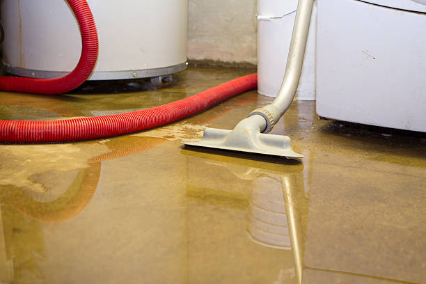Best Flooded house restoration  in Clarkston Heights Vineland, WA