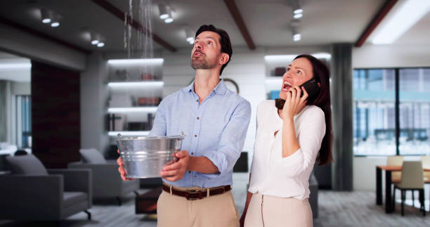 Best Flood damage cleanup  in Clarkston Heights Vineland, WA